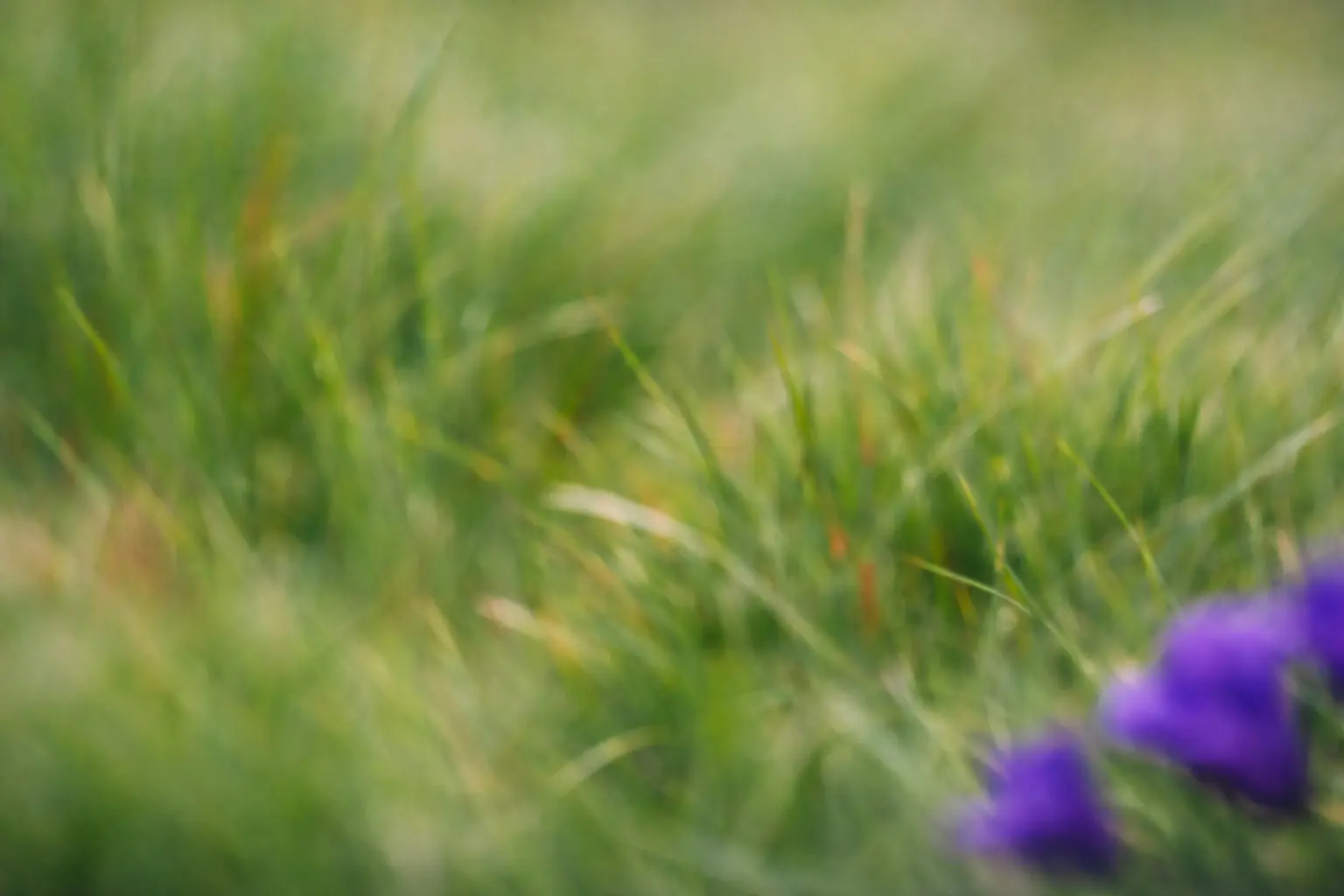 Store connecting to Sprite