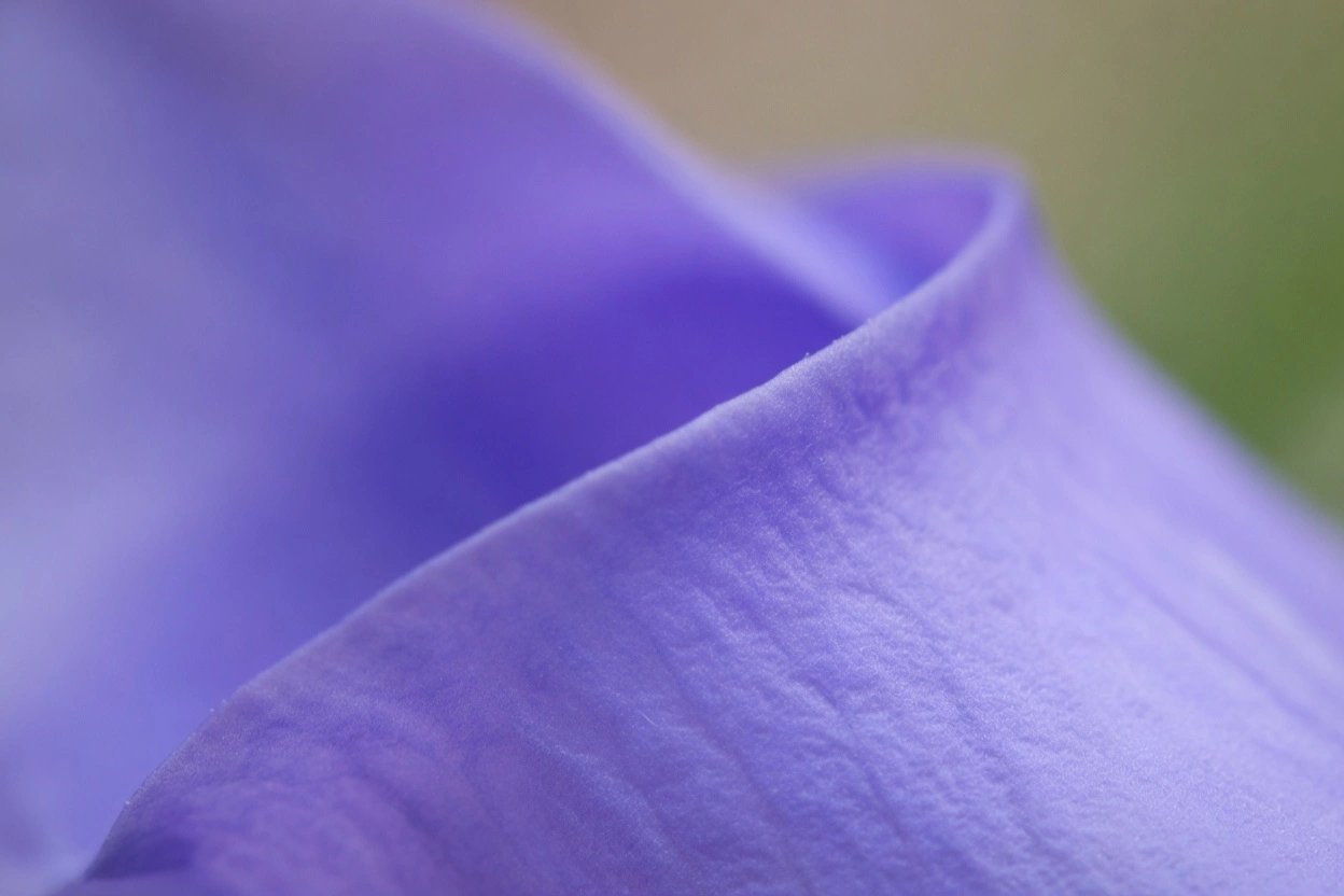 Content being generated